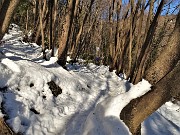 02 Sul sentiero 505 per Rif. Monte Zucco e Monte Zucco